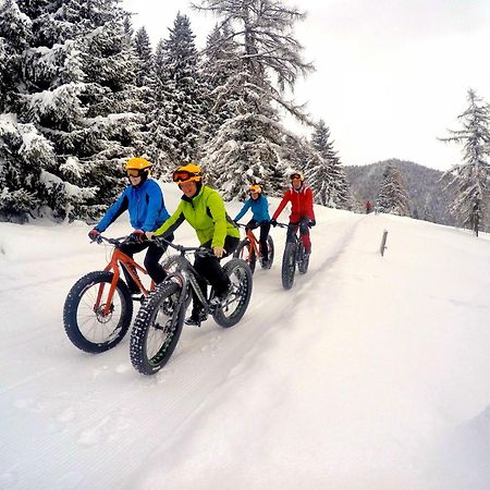 Bio-Holzhaus Und Landhaus Heimat Ramsau am Dachstein Kültér fotó