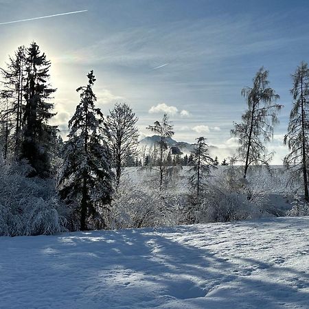 Bio-Holzhaus Und Landhaus Heimat Ramsau am Dachstein Kültér fotó