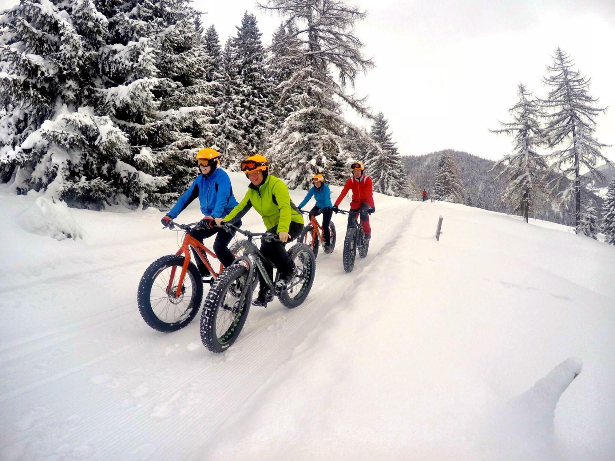 Bio-Holzhaus Und Landhaus Heimat Ramsau am Dachstein Kültér fotó