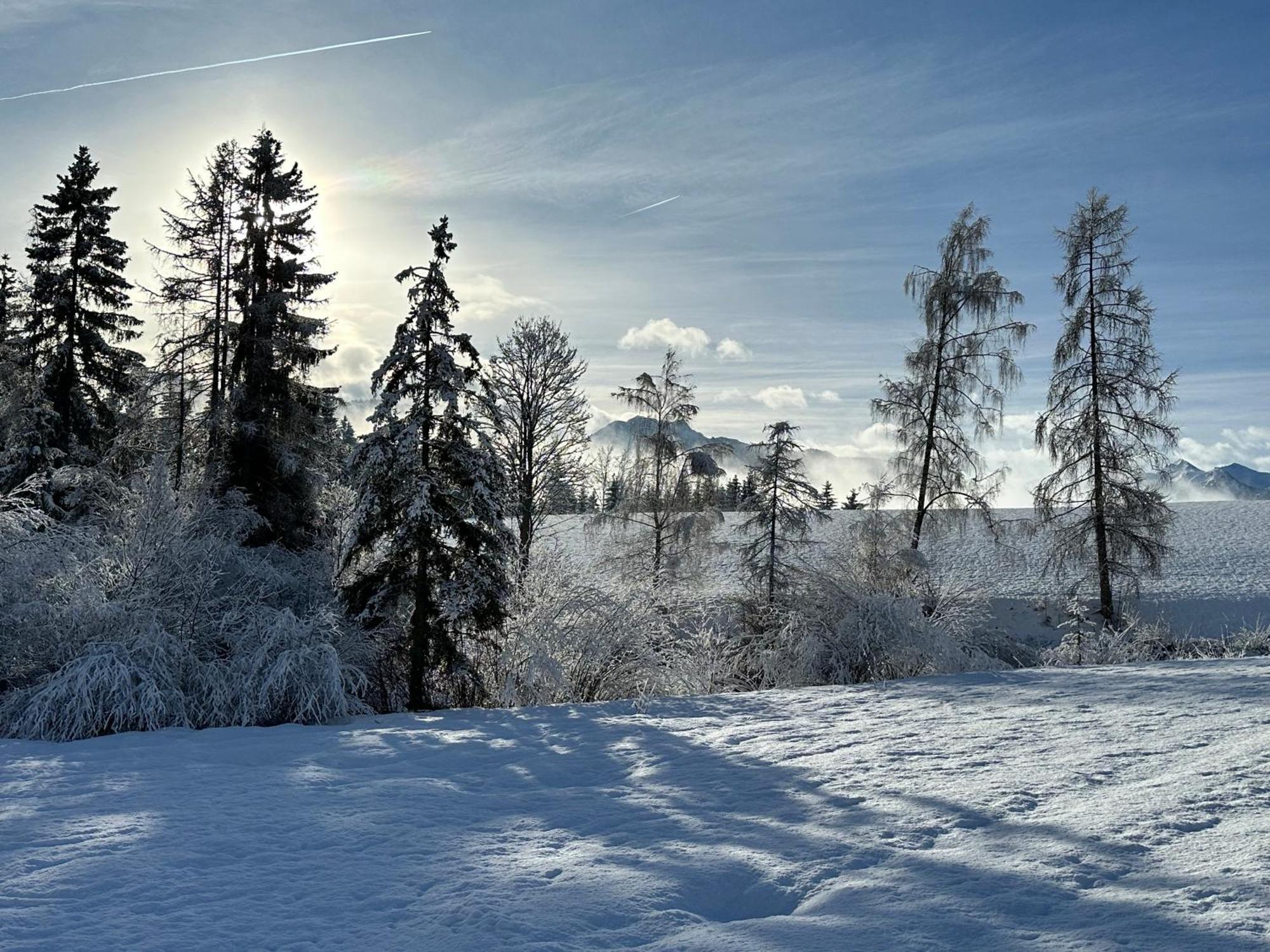 Bio-Holzhaus Und Landhaus Heimat Ramsau am Dachstein Kültér fotó