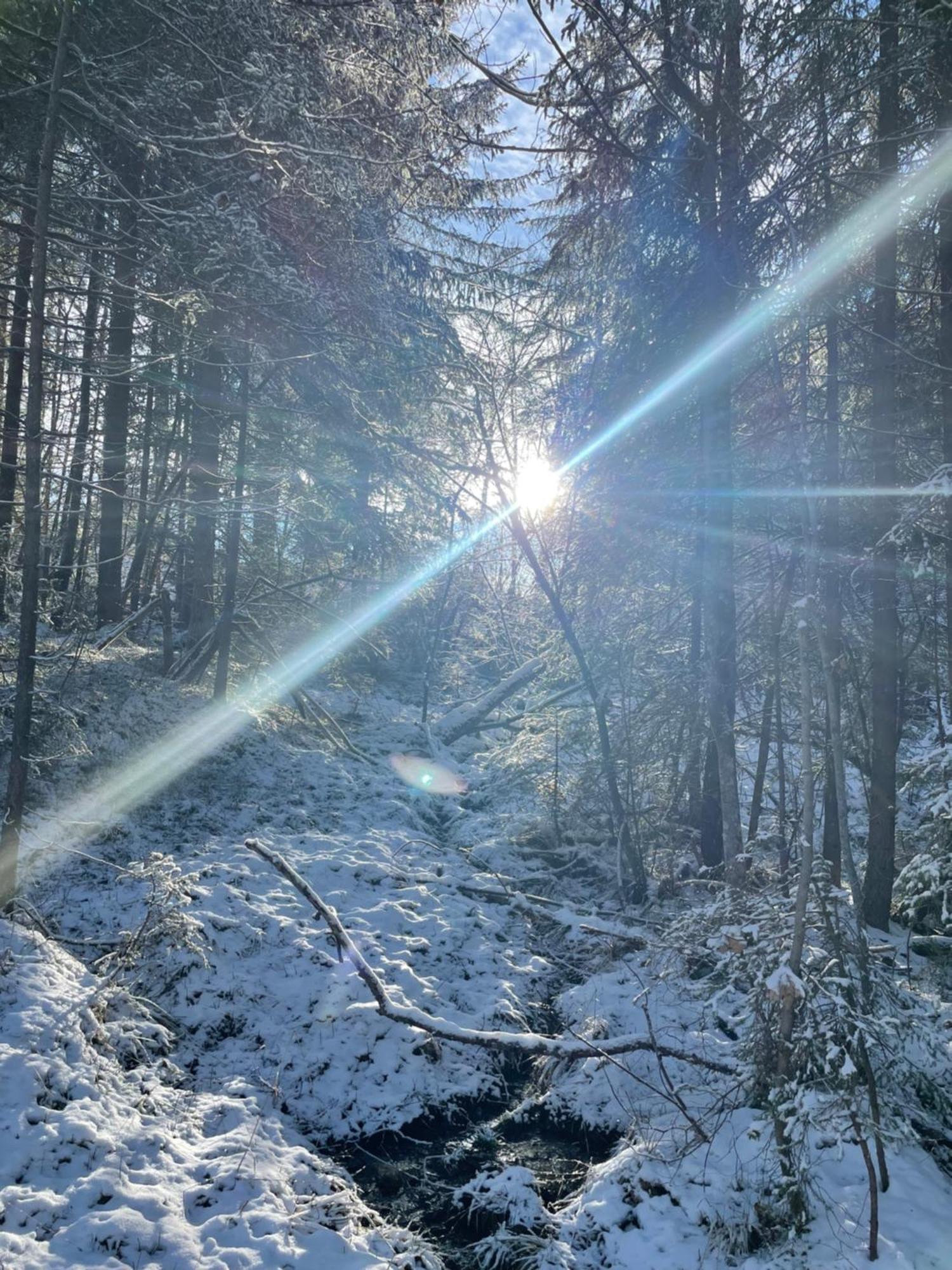 Bio-Holzhaus Und Landhaus Heimat Ramsau am Dachstein Kültér fotó