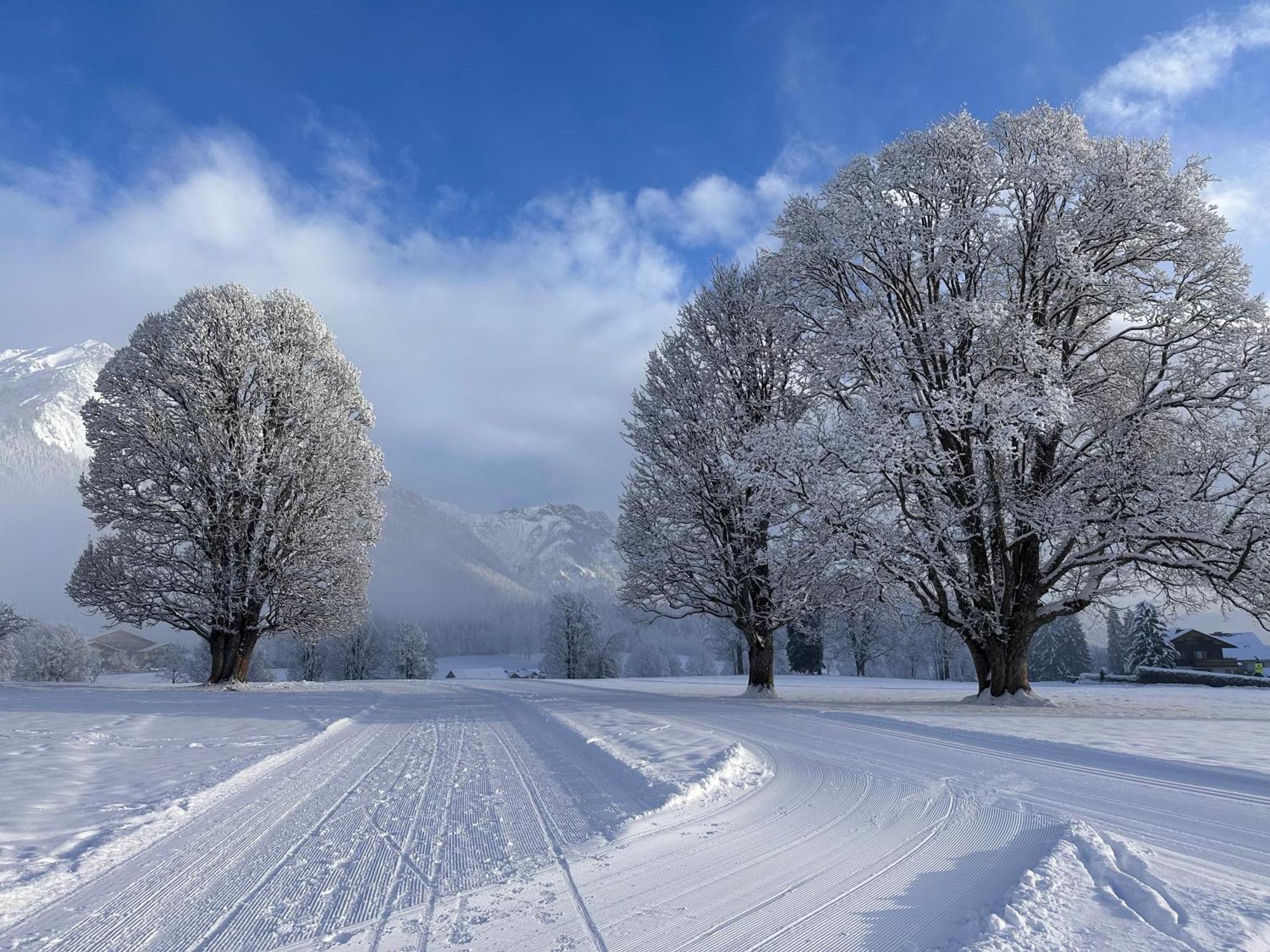 Bio-Holzhaus Und Landhaus Heimat Ramsau am Dachstein Kültér fotó