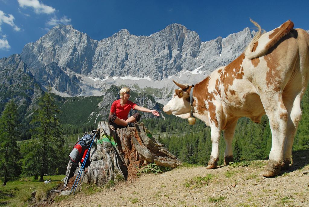 Bio-Holzhaus Und Landhaus Heimat Ramsau am Dachstein Kültér fotó