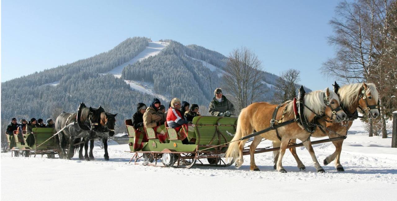 Bio-Holzhaus Und Landhaus Heimat Ramsau am Dachstein Kültér fotó